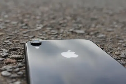 Casino Jungle Raja Mobiilirakendus